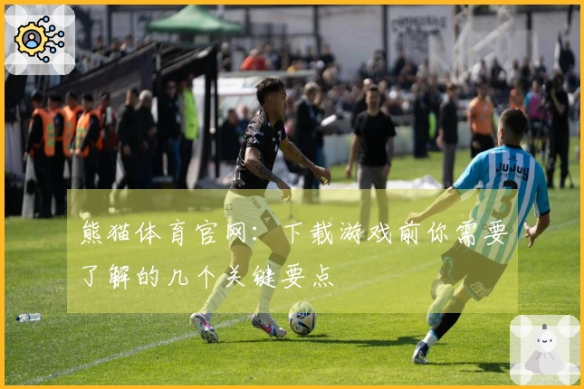 熊猫体育官网：下载游戏前你需要了解的几个关键要点